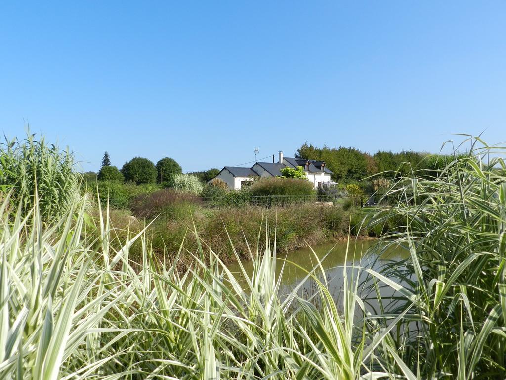 Gite La Grenouillere Esqueheries Buitenkant foto