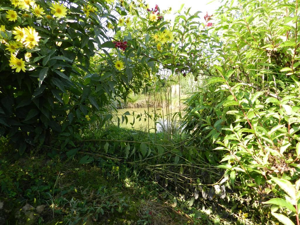 Gite La Grenouillere Esqueheries Buitenkant foto