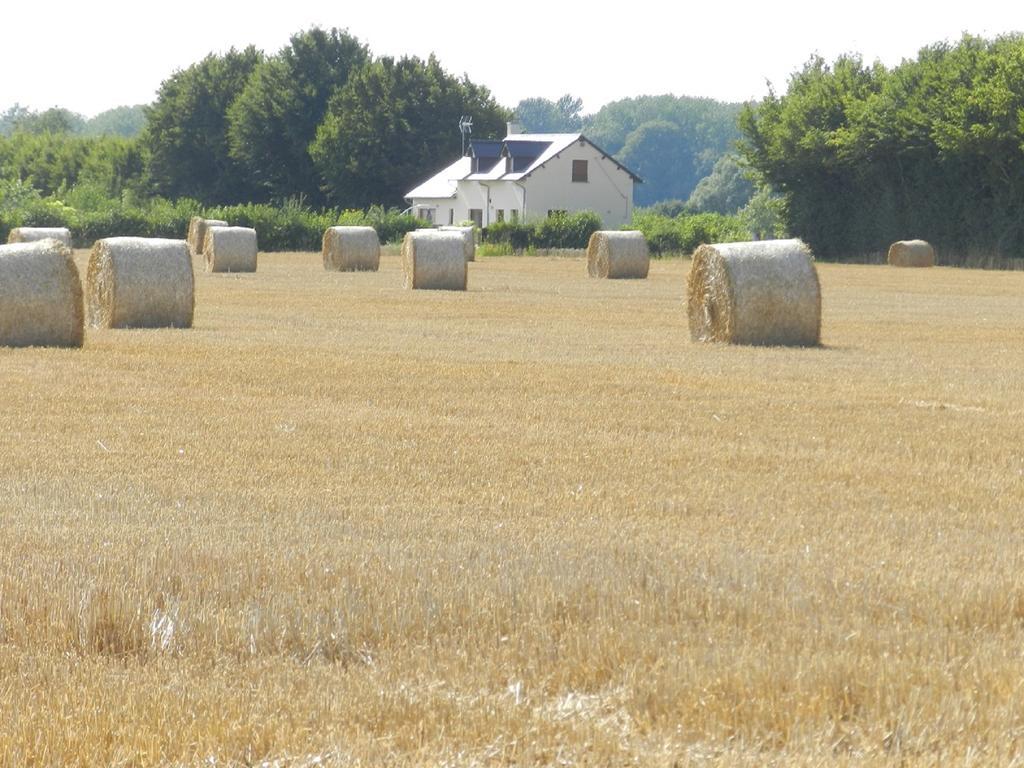 Gite La Grenouillere Esqueheries Buitenkant foto