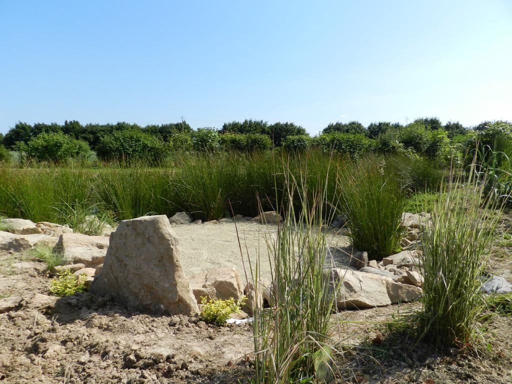 Gite La Grenouillere Esqueheries Buitenkant foto