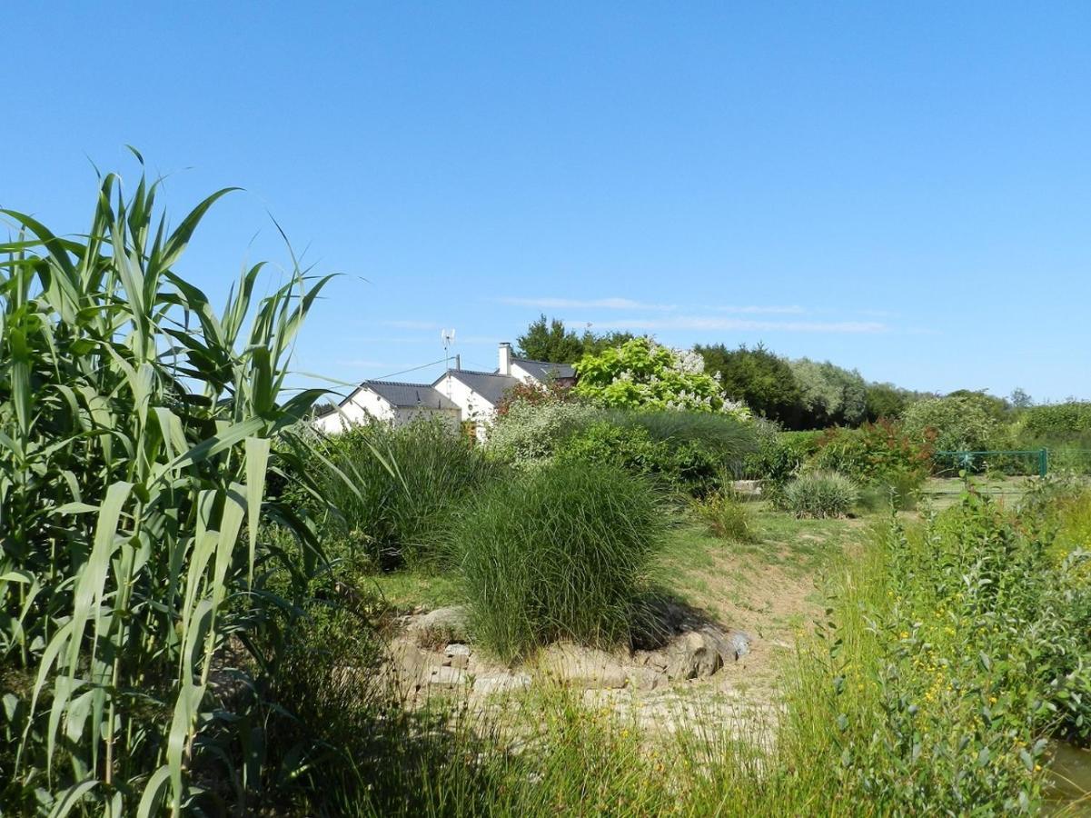 Gite La Grenouillere Esqueheries Buitenkant foto